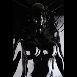 Latex Vacuumbed Van Latexa #3056