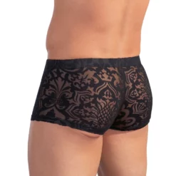 Sven Joyment Underwear Heren Boxer Van Svenjoyment -Fetisj Mode Accessoires Winkel or 21307261701 boxer briefs ornament 28010