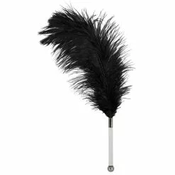 Black Feather Wand By Bad Kitty